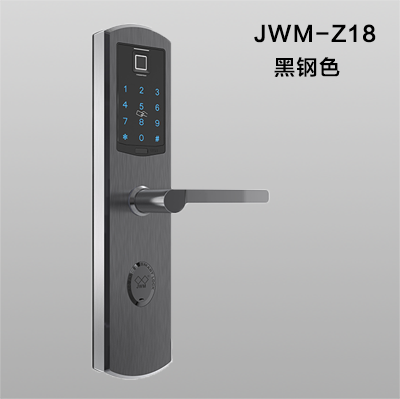 JWM德智丰-Z18 酒店&公寓&办公楼&学校联网智能门锁